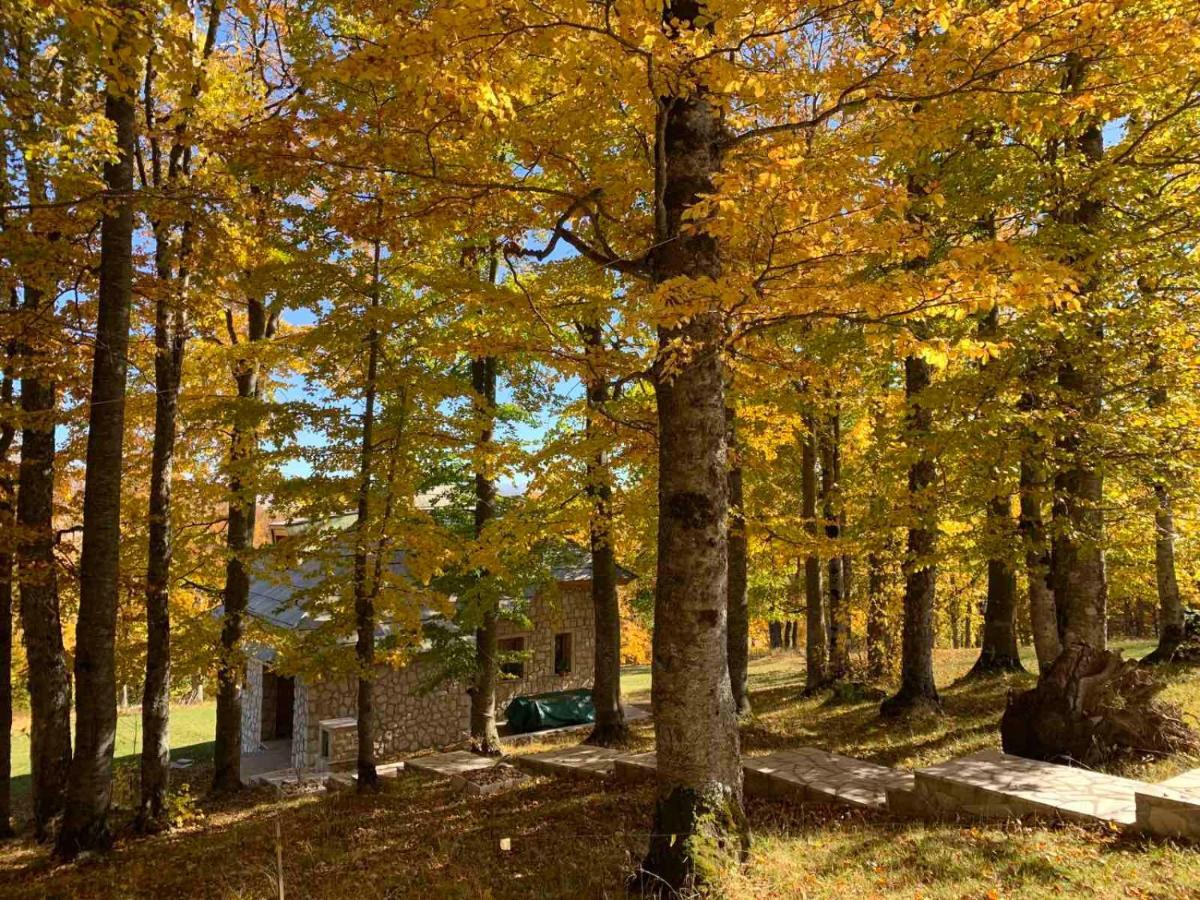 Green Forest Žabljak Exterior foto